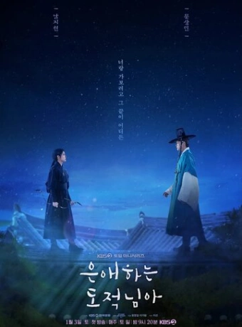 Моя любимая воровка